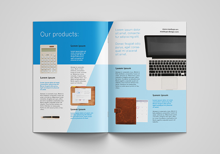 42+ Download A4 Brochure Mockup Free Psd