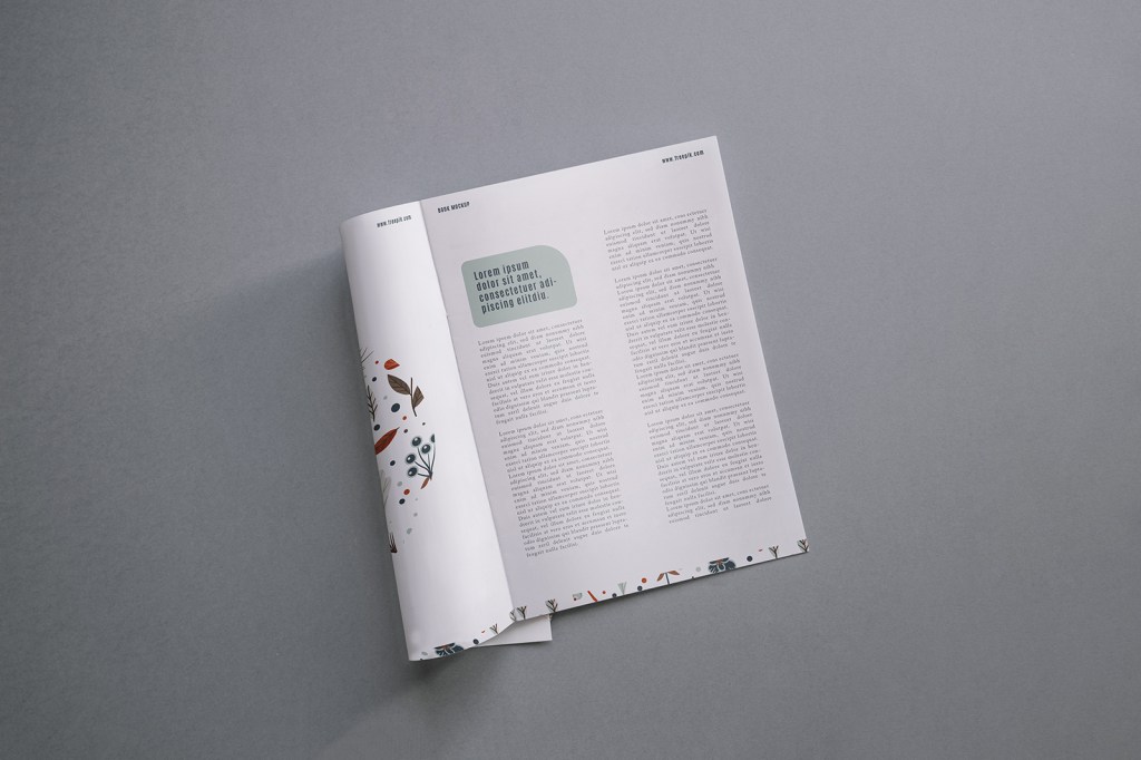 27+ Download Magazine Ad Mockup Free Psd