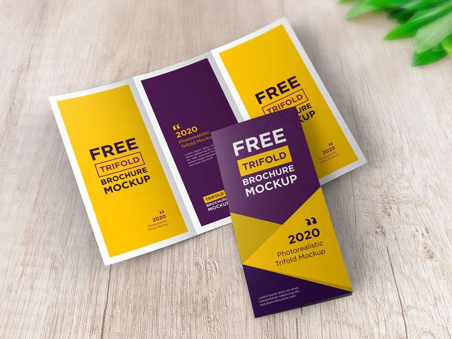 30+ Download Tri Fold Brochure Mockup Psd Free